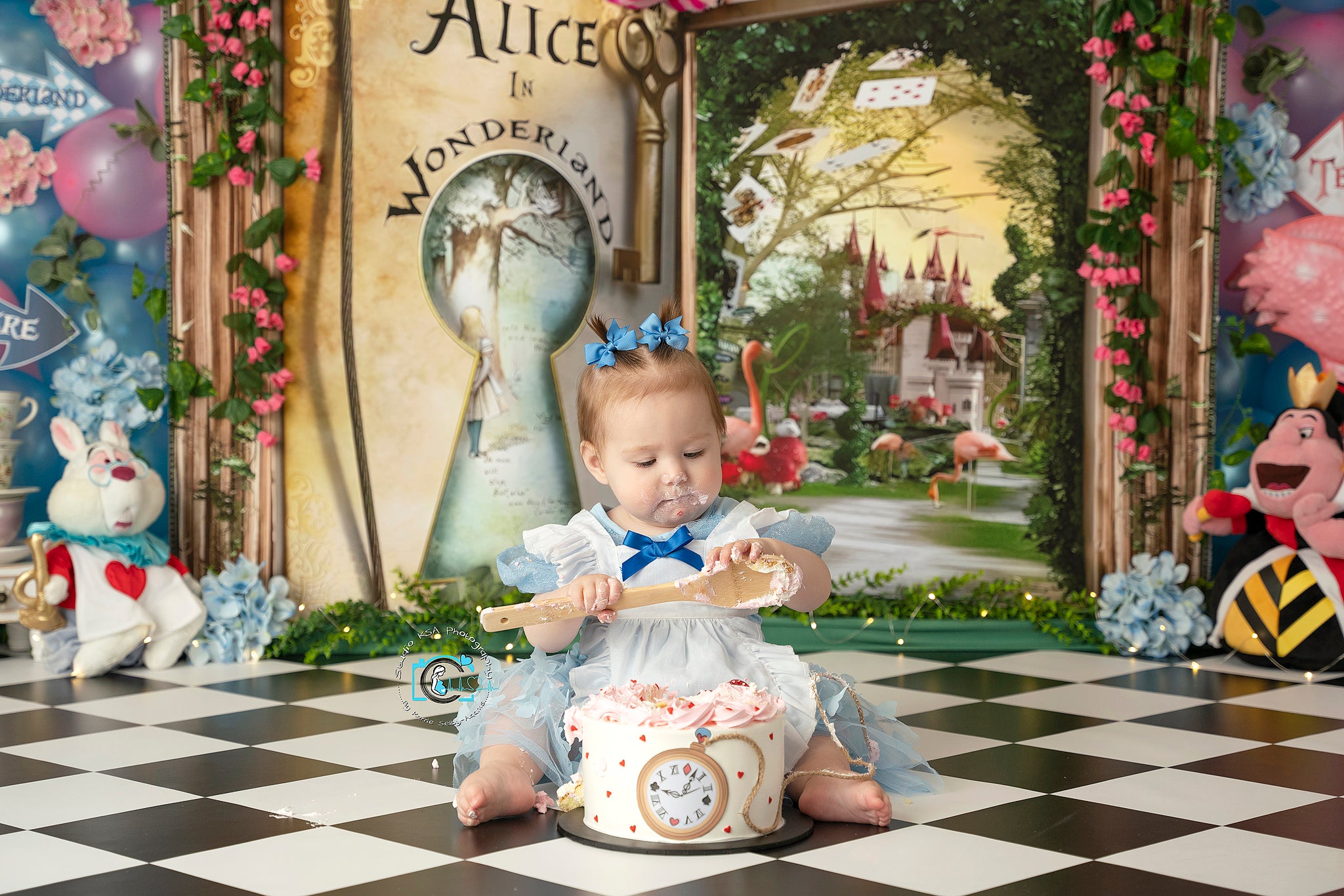Wonderland Themed Photography  - огляд і ціна Photography Book