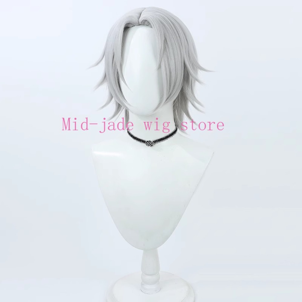 Hayato Gokudera Cosplay Wig Si - огляд і ціна Photography Japanese